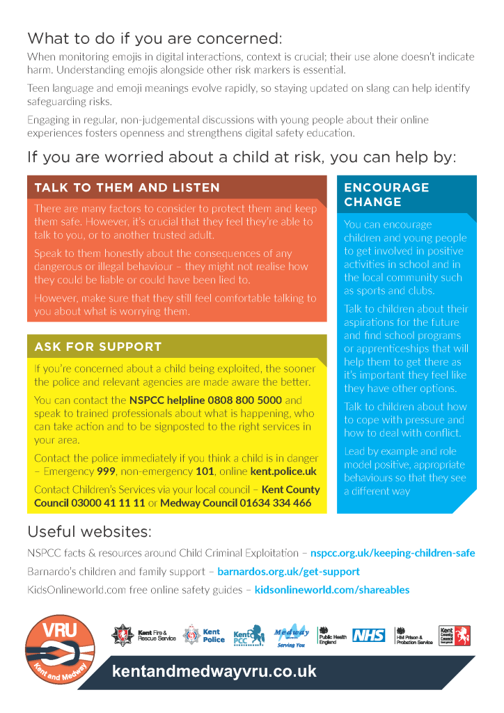 Emojis- Hidden Meanings A4page2 Emoji guidance page2