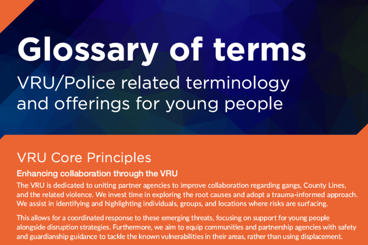VRU Glossary of terms and services
